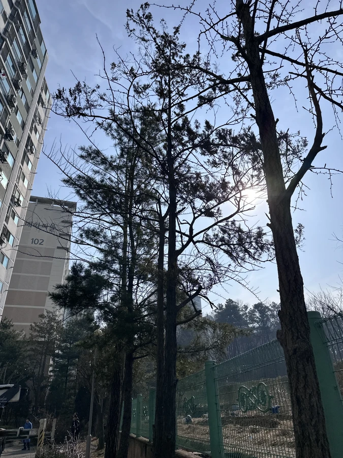 벌목,벌초