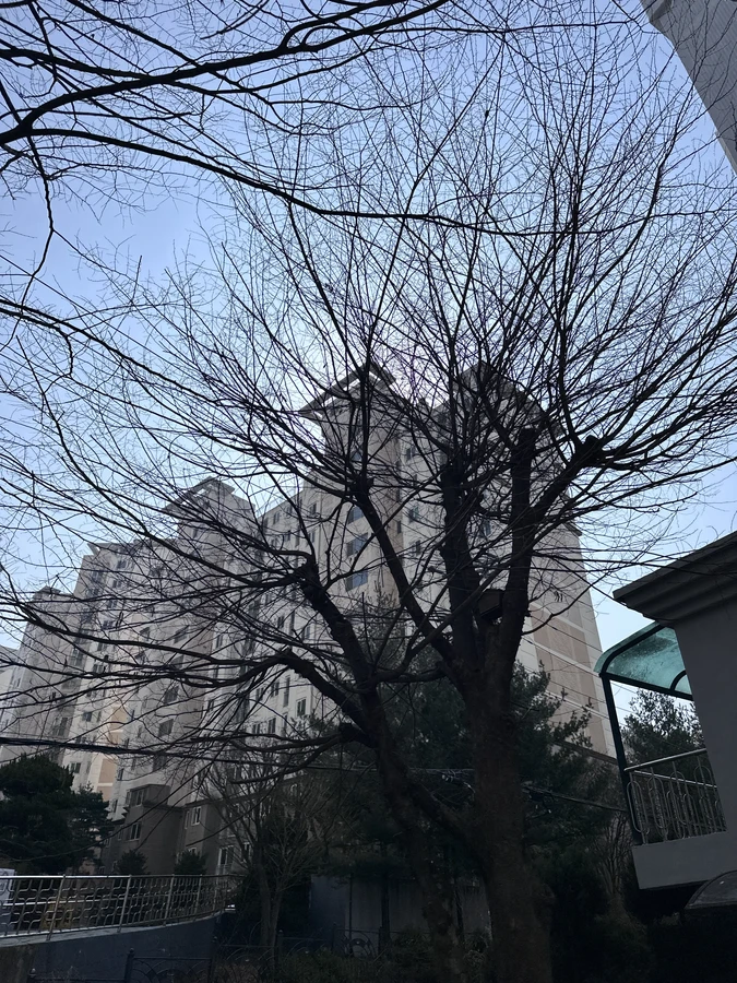 벌목,벌초