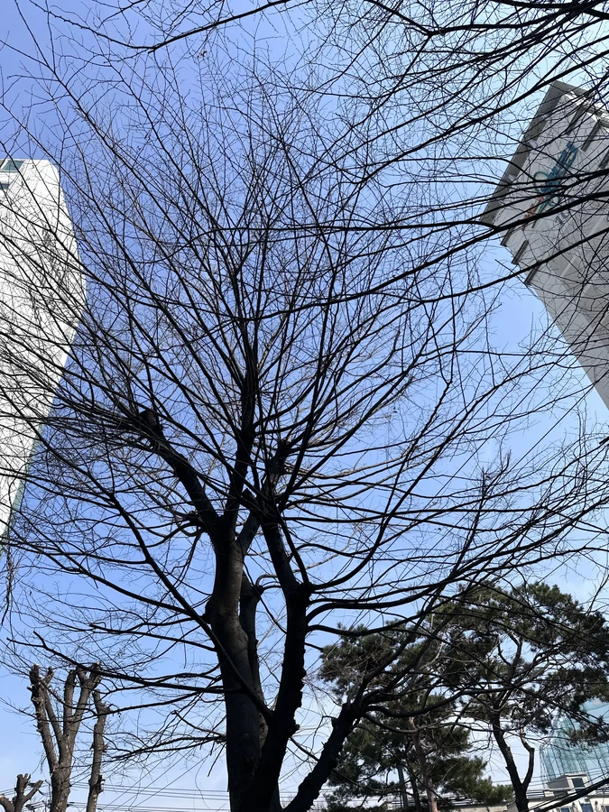 벌목,벌초