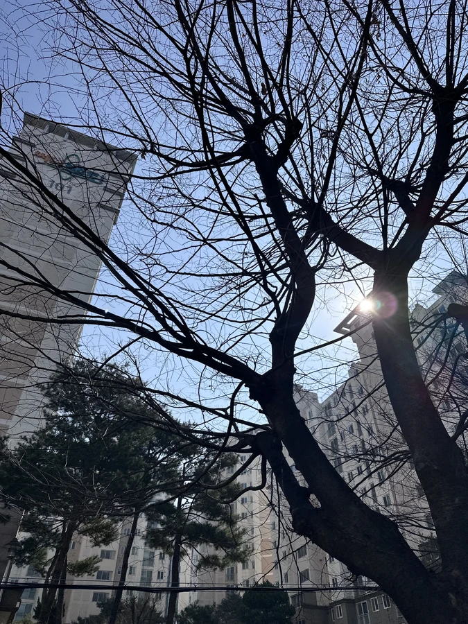 벌목,벌초