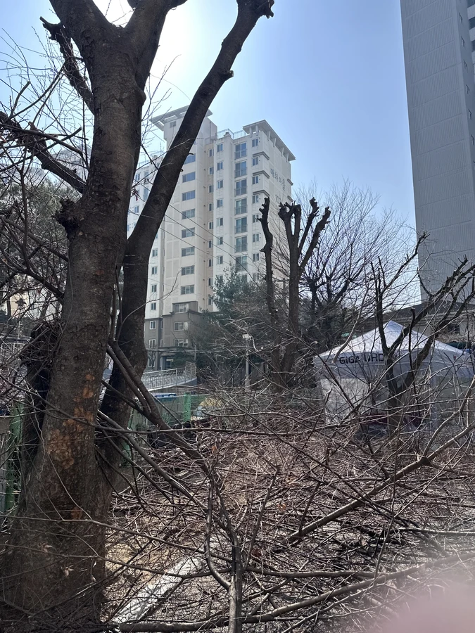 벌목,벌초