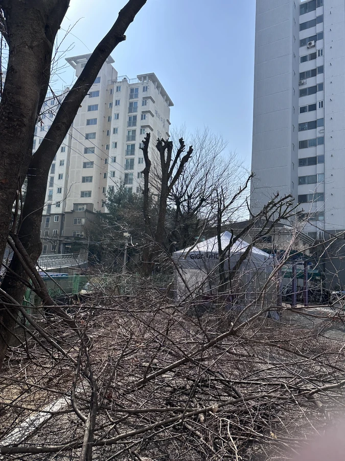 벌목,벌초