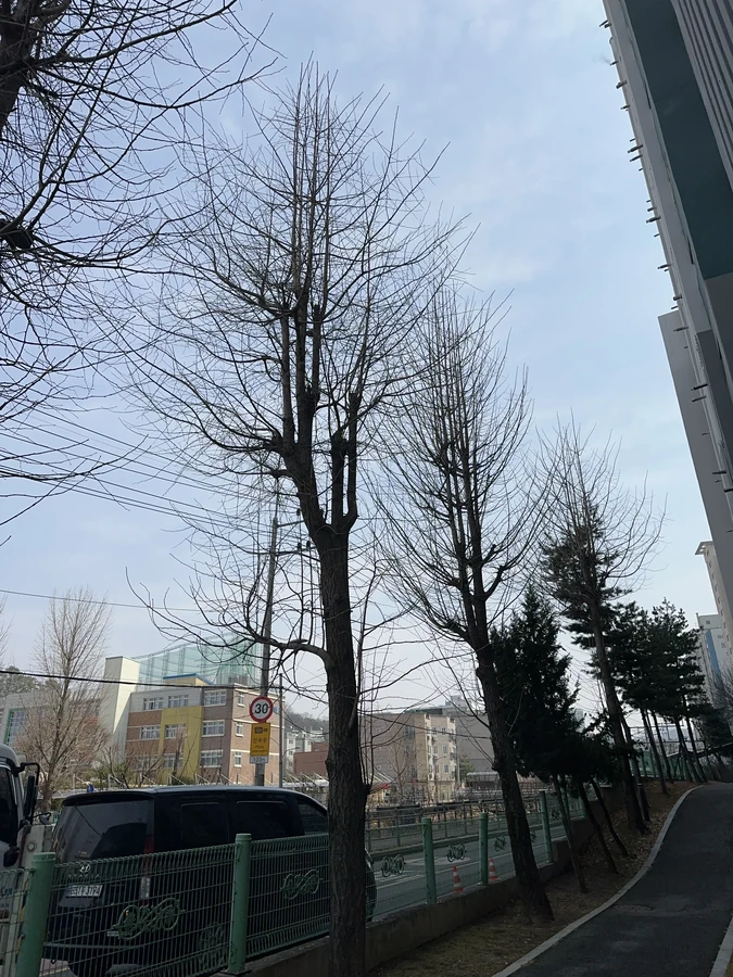 벌목,벌초