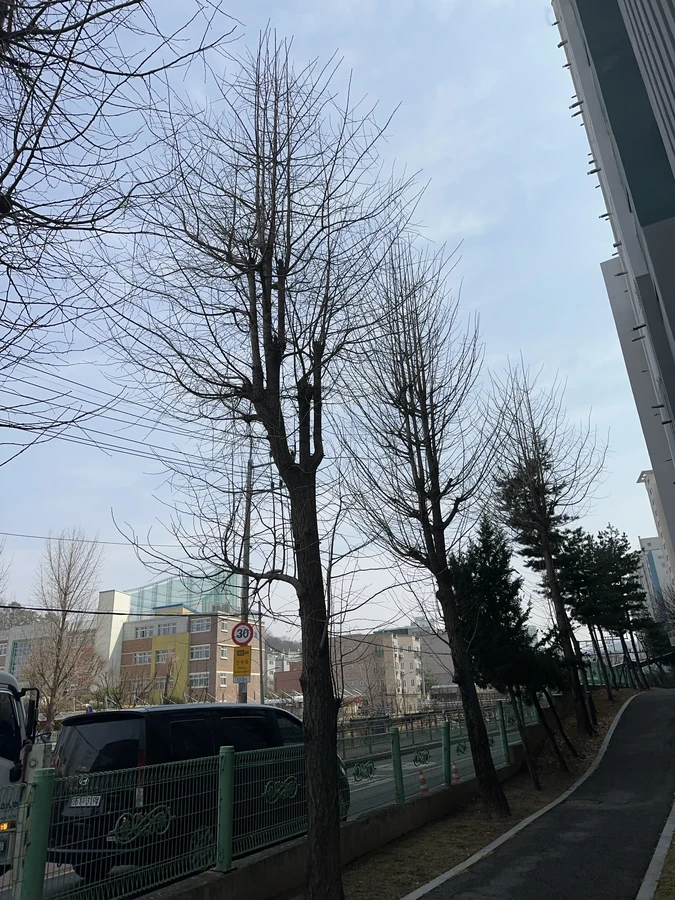 벌목,벌초