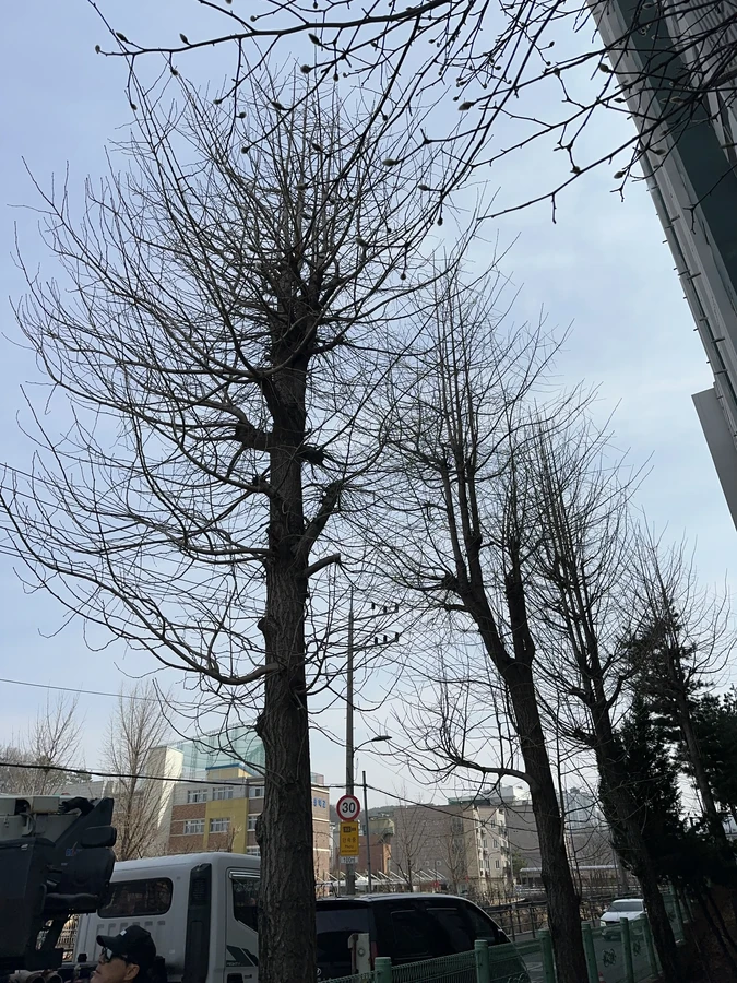 벌목,벌초
