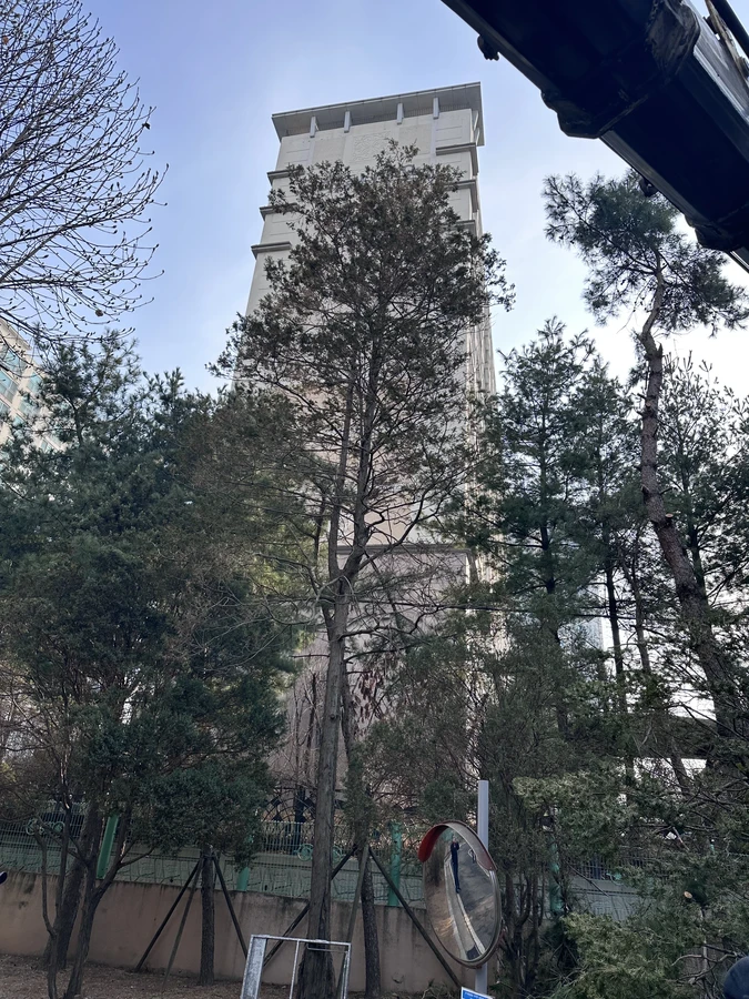벌목,벌초