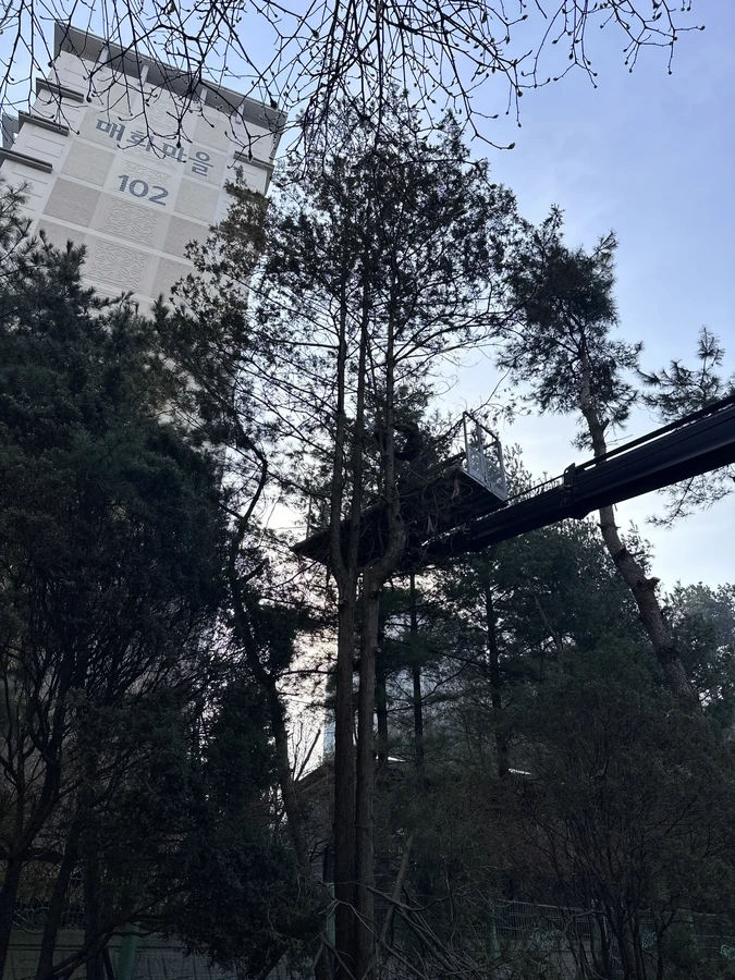 벌목,벌초