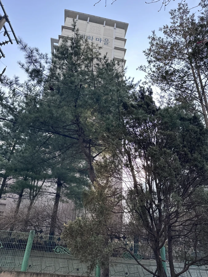 벌목,벌초