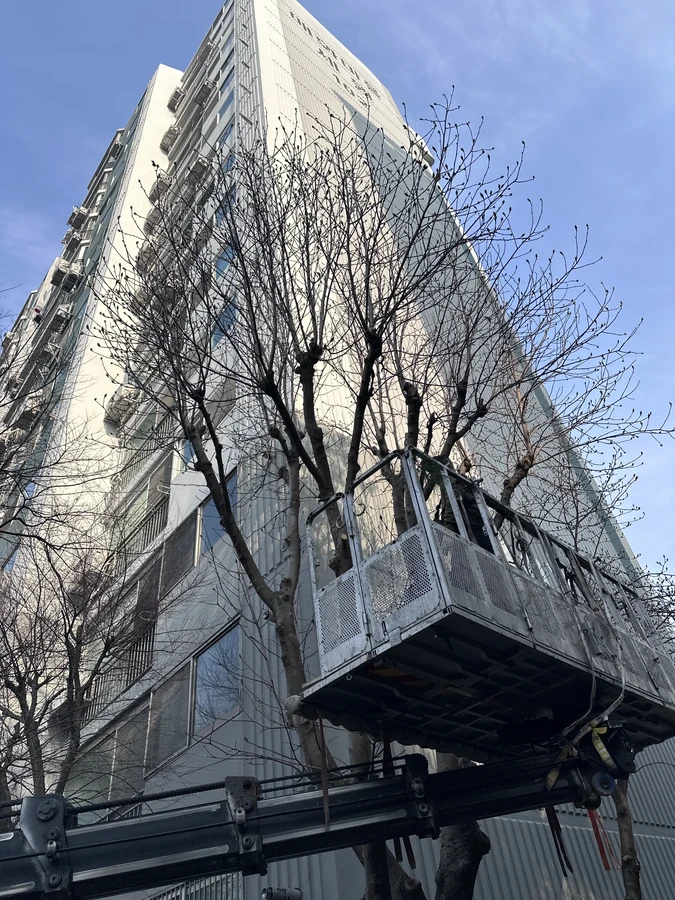 벌목,벌초