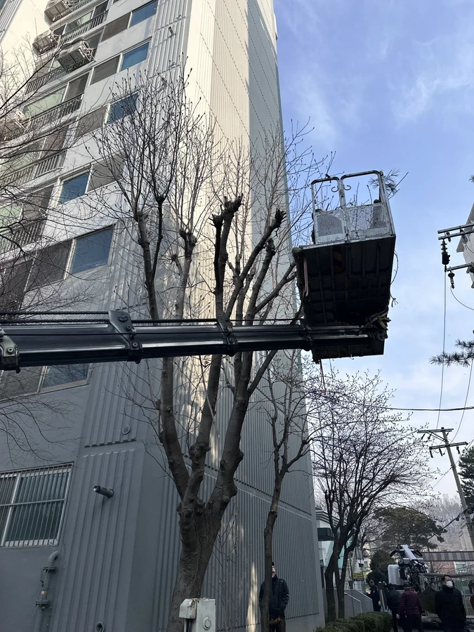 벌목,벌초