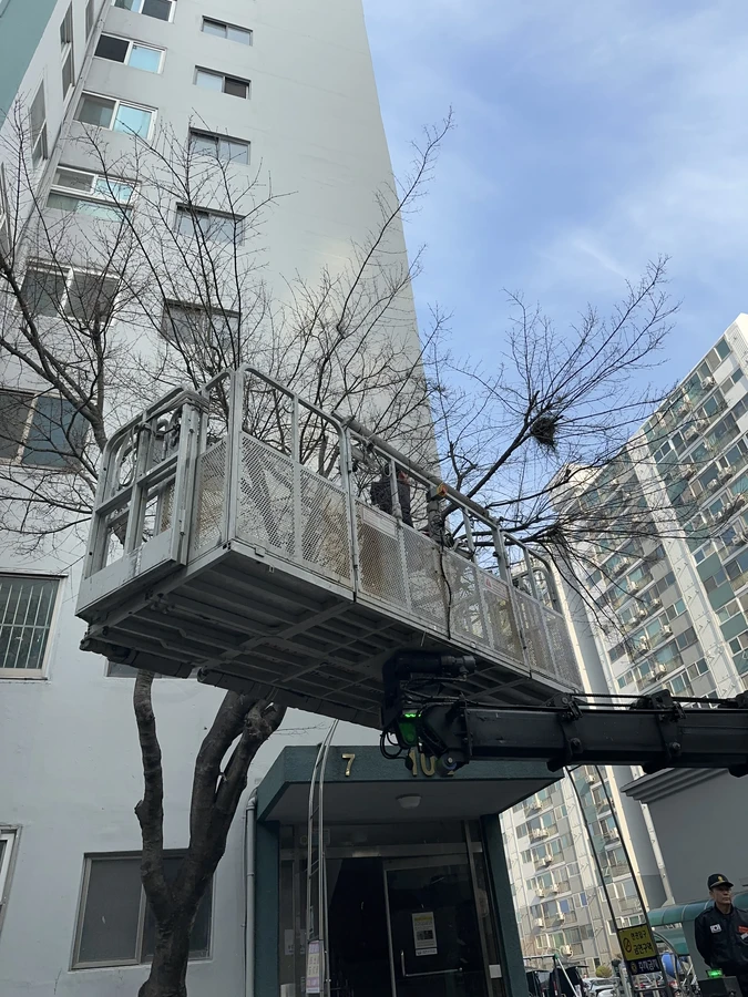 벌목,벌초