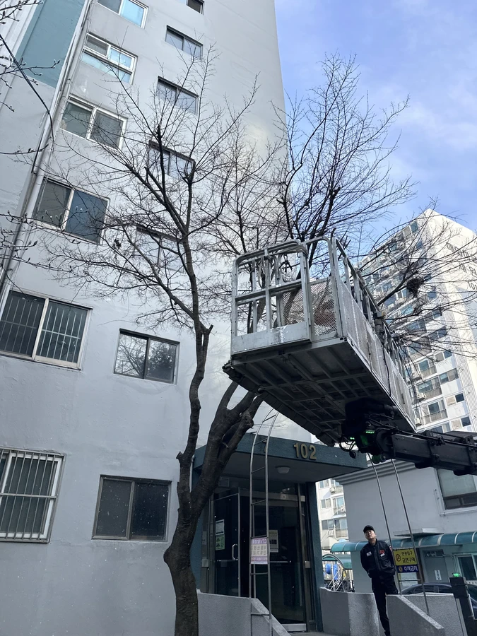 벌목,벌초