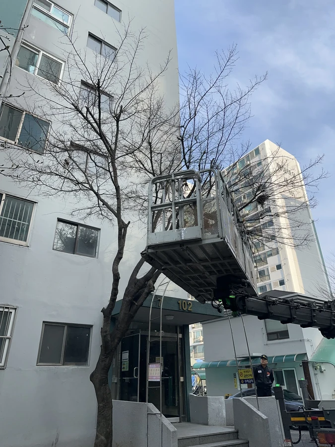 벌목,벌초
