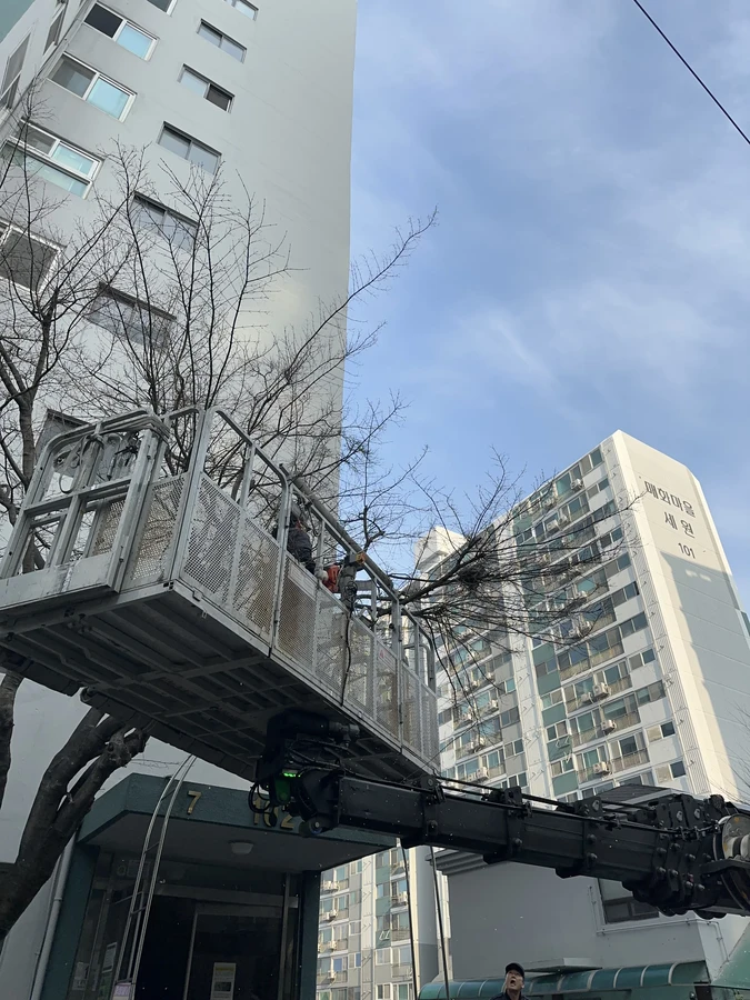 벌목,벌초