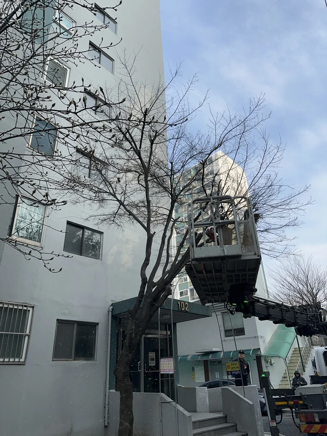 벌목,벌초
