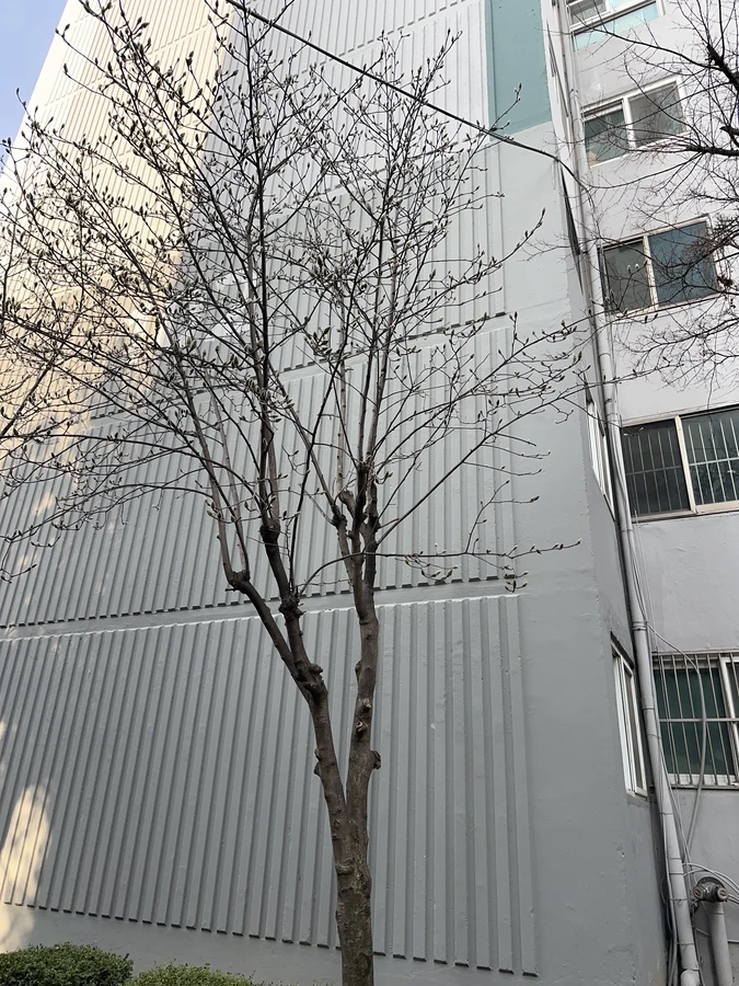 벌목,벌초