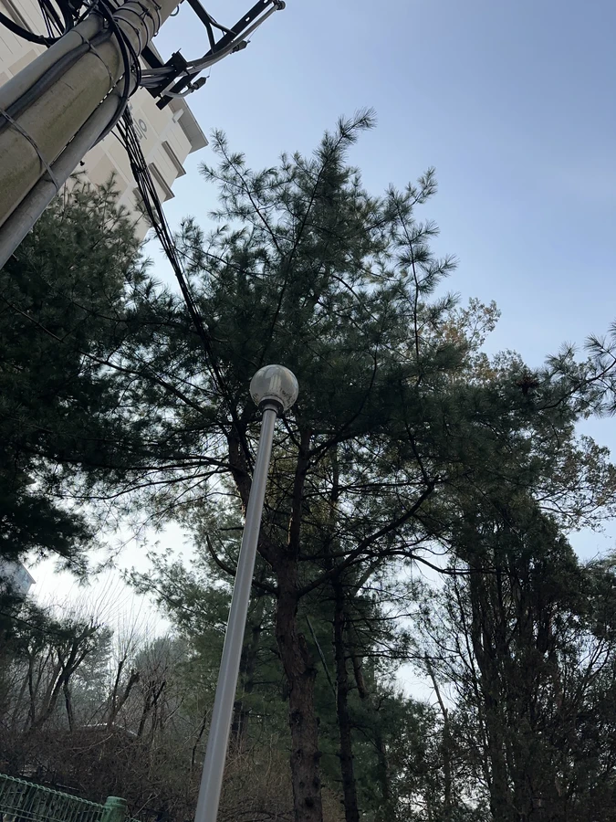 벌목,벌초