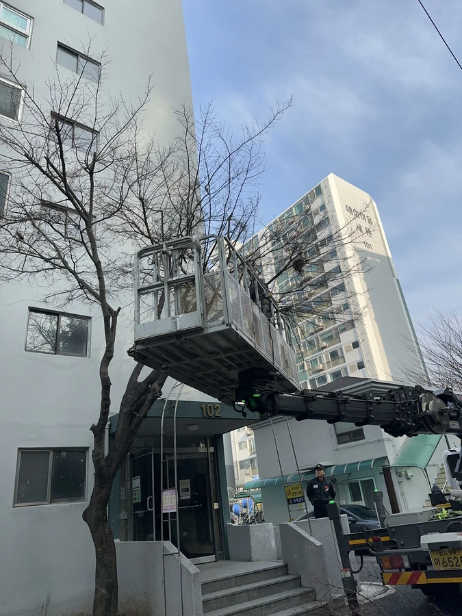 벌목,벌초