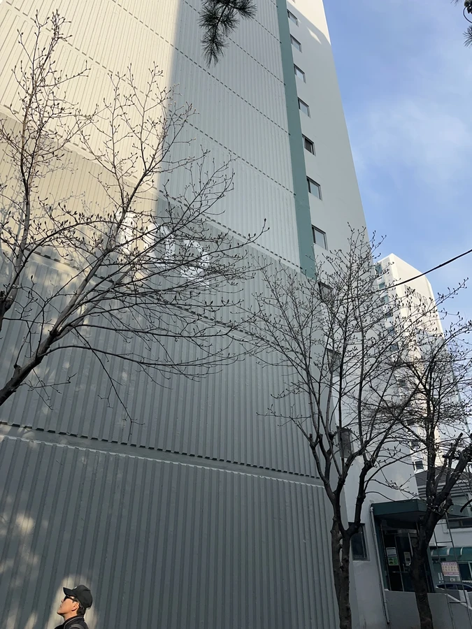 벌목,벌초