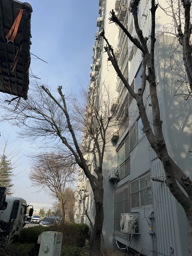 벌목,벌초