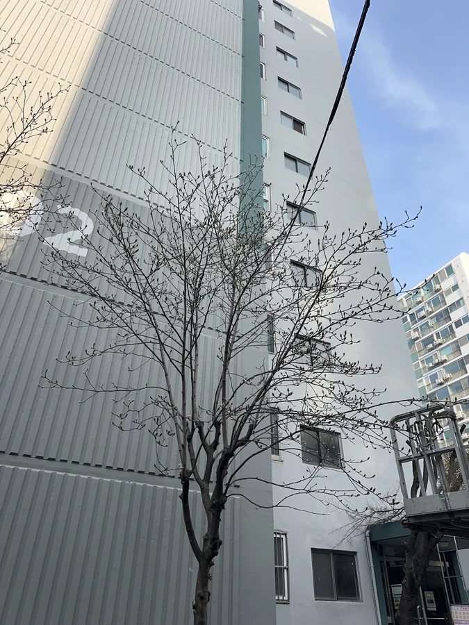 벌목,벌초