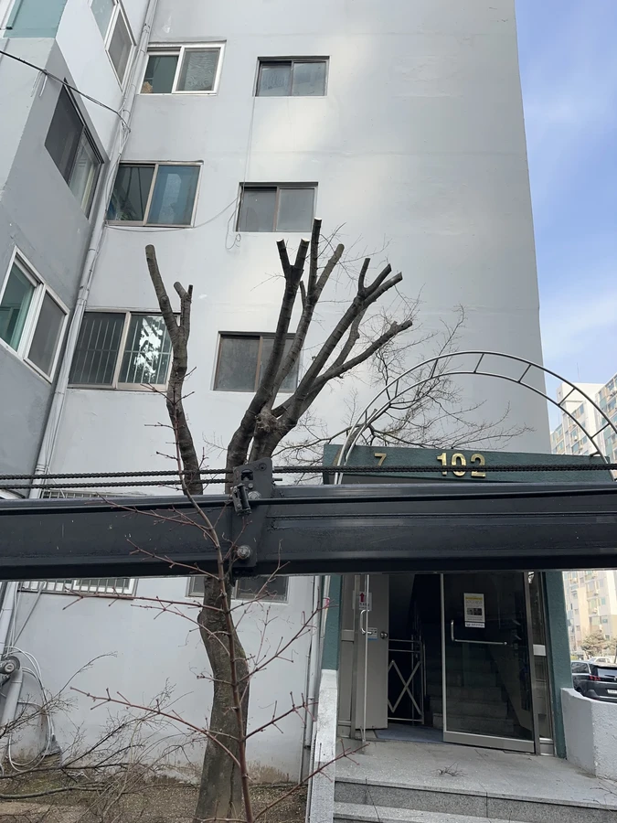 벌목,벌초
