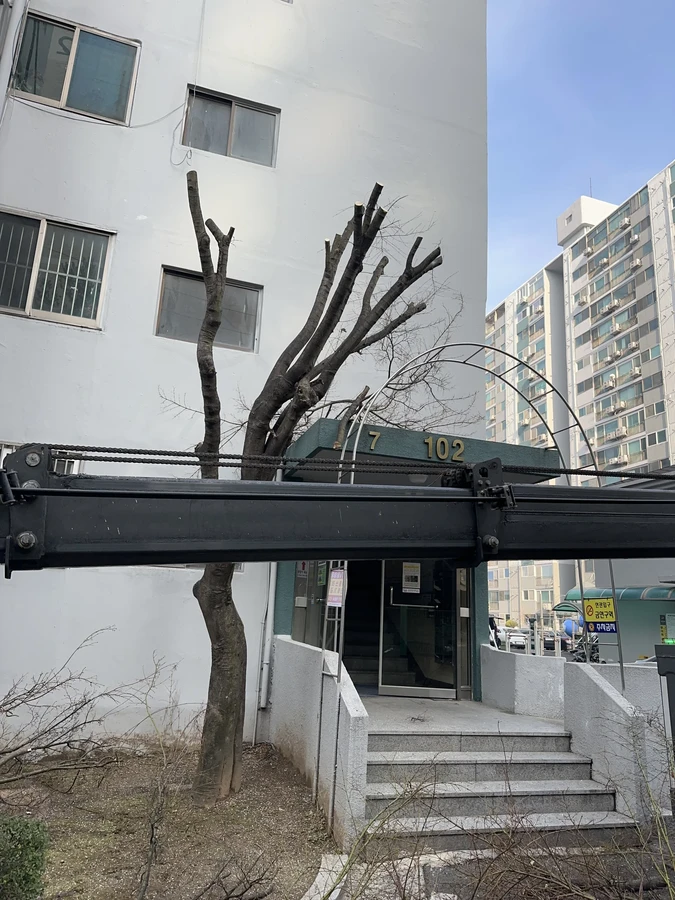 벌목,벌초
