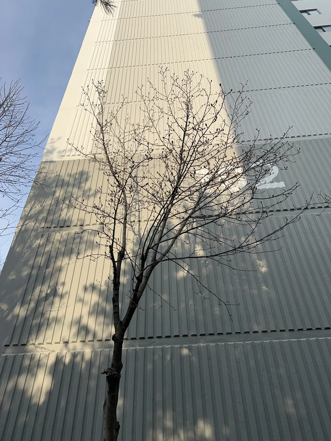 벌목,벌초