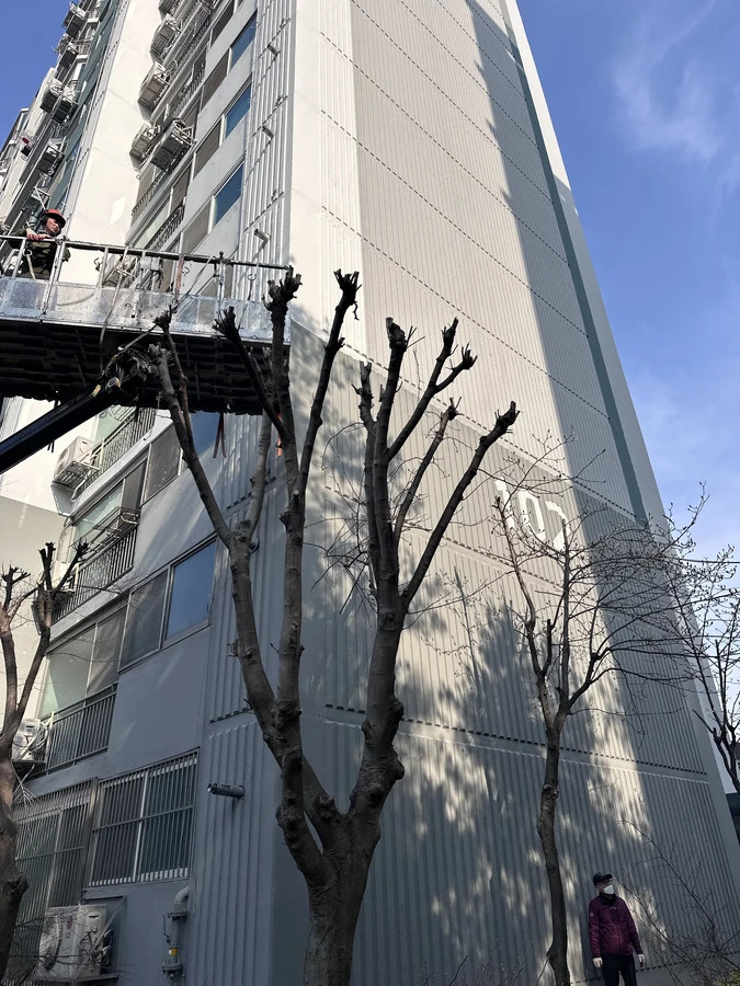 벌목,벌초