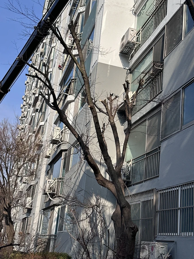 벌목,벌초