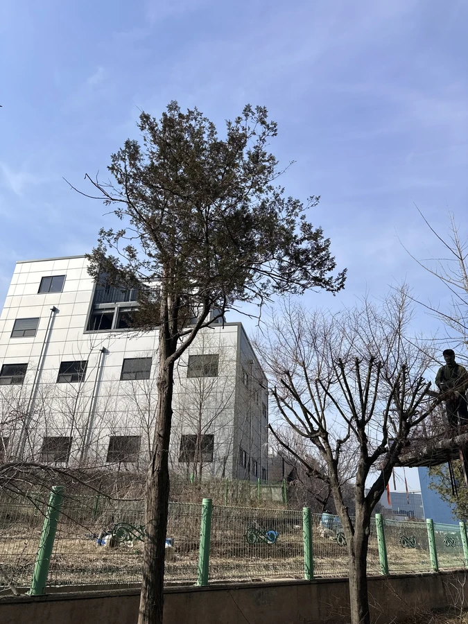 벌목,벌초