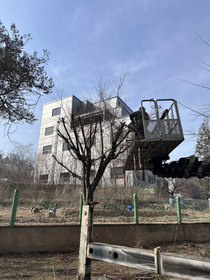 벌목,벌초