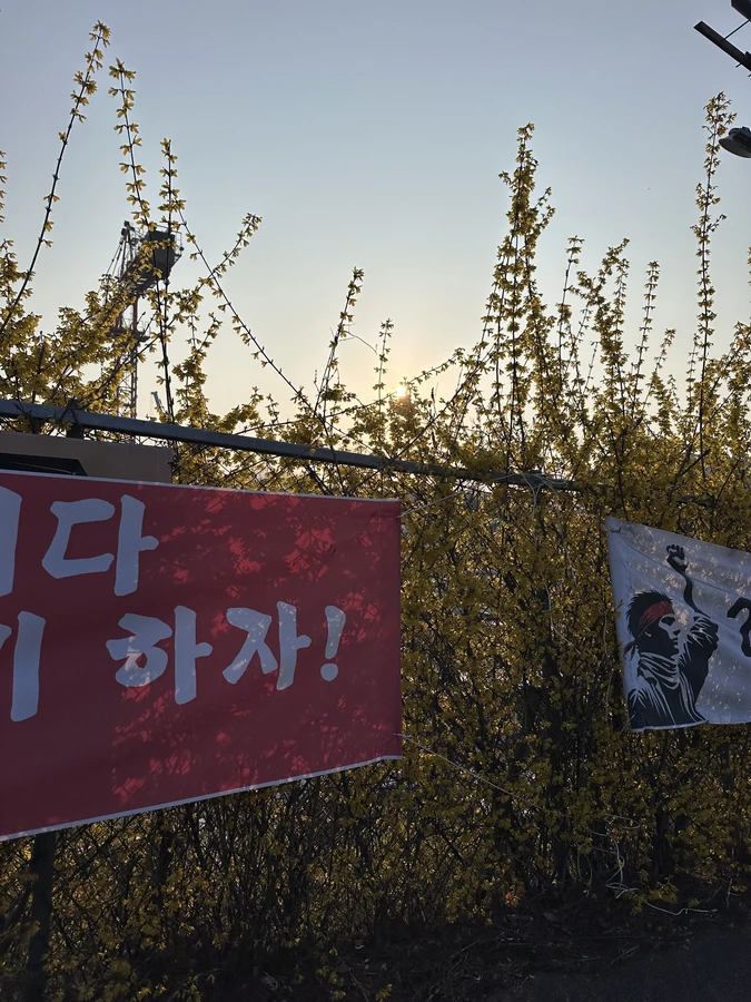 벌목,벌초