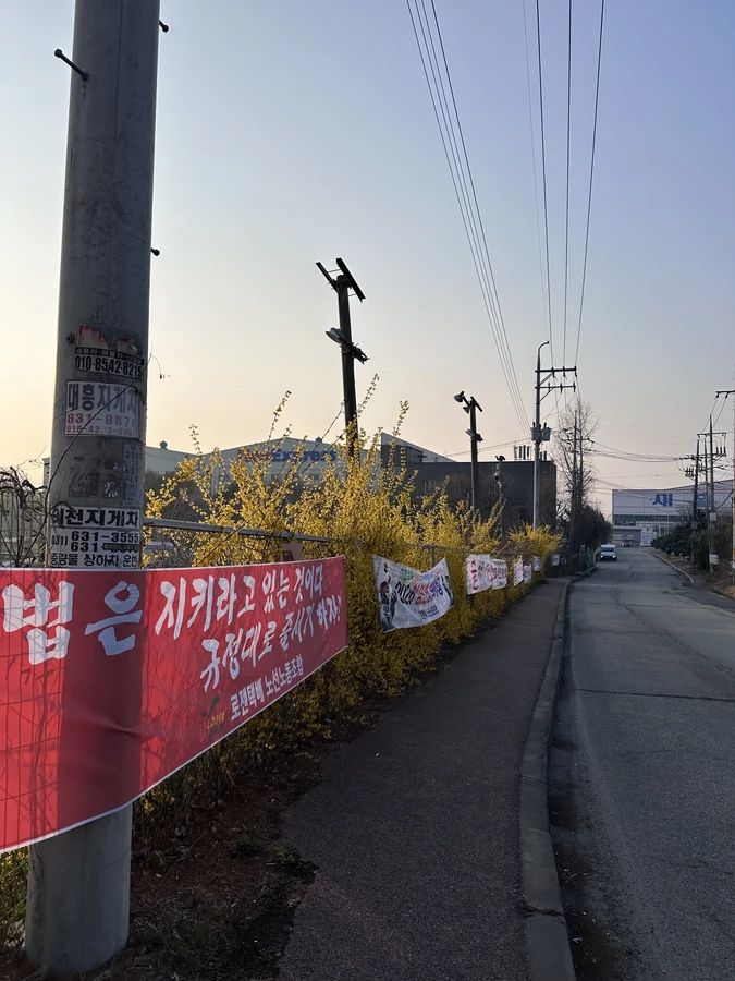 벌목,벌초
