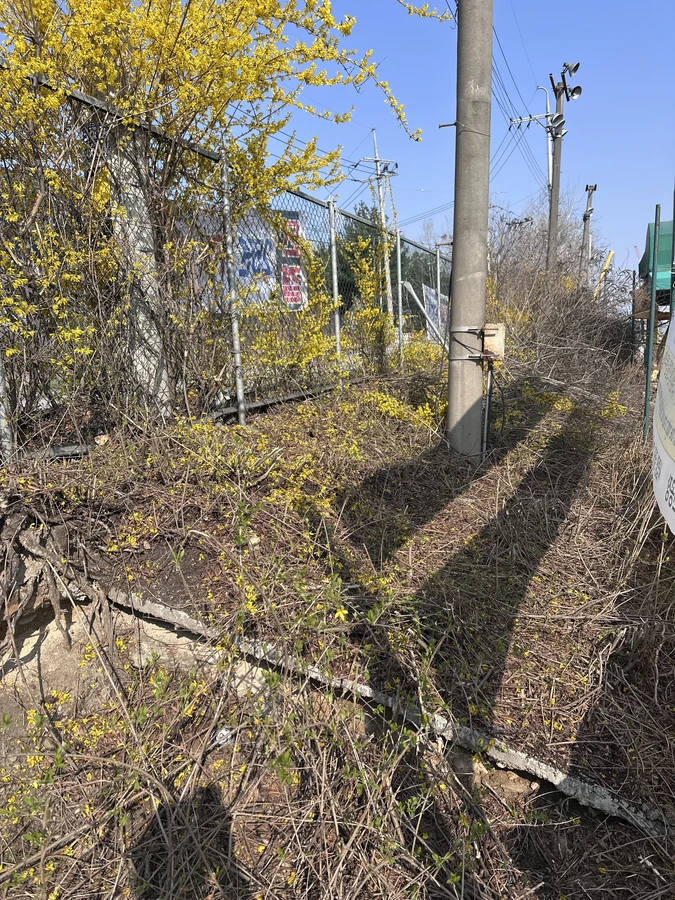 벌목,벌초
