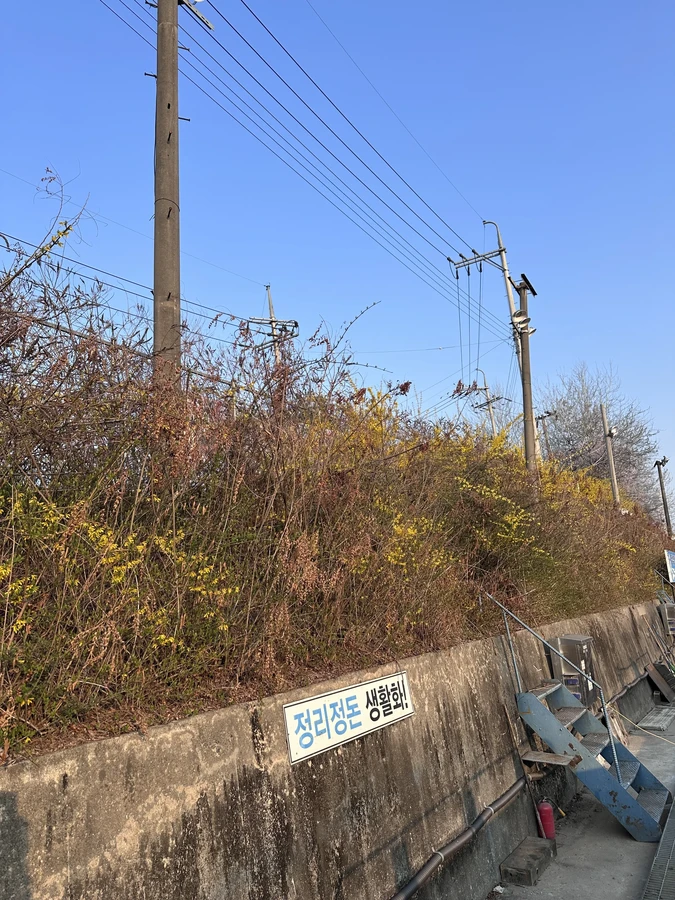 벌목,벌초