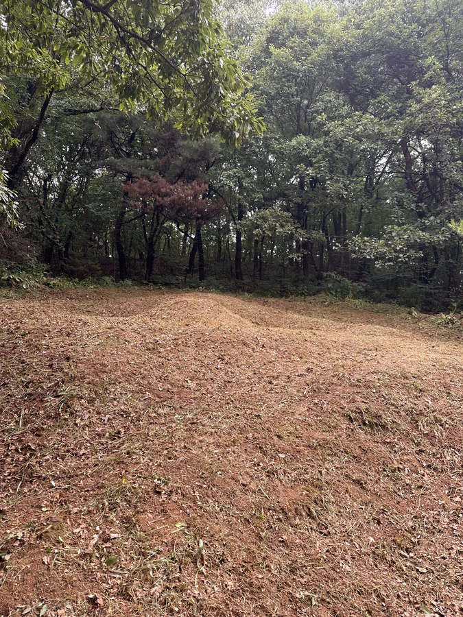 벌목,벌초