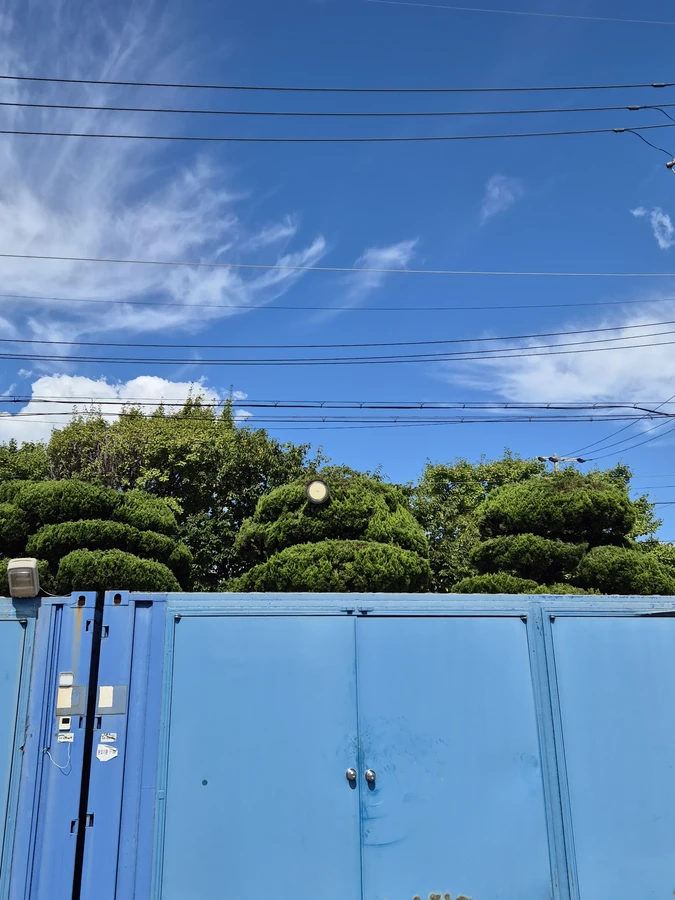 벌목,벌초