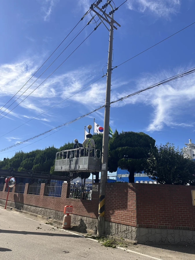 벌목,벌초