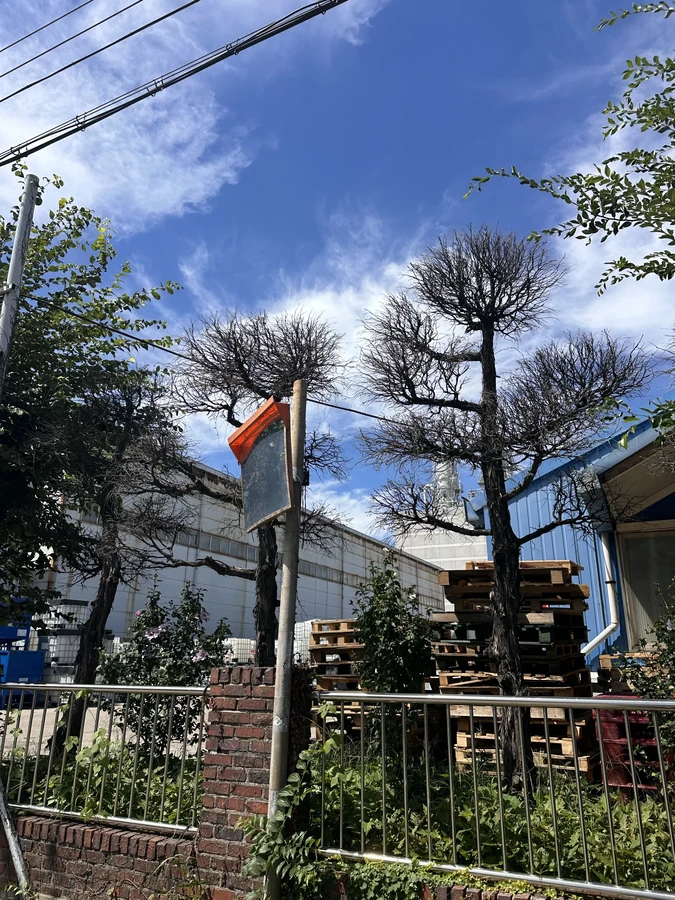 벌목,벌초