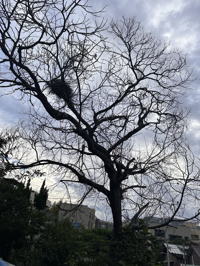 벌목,벌초