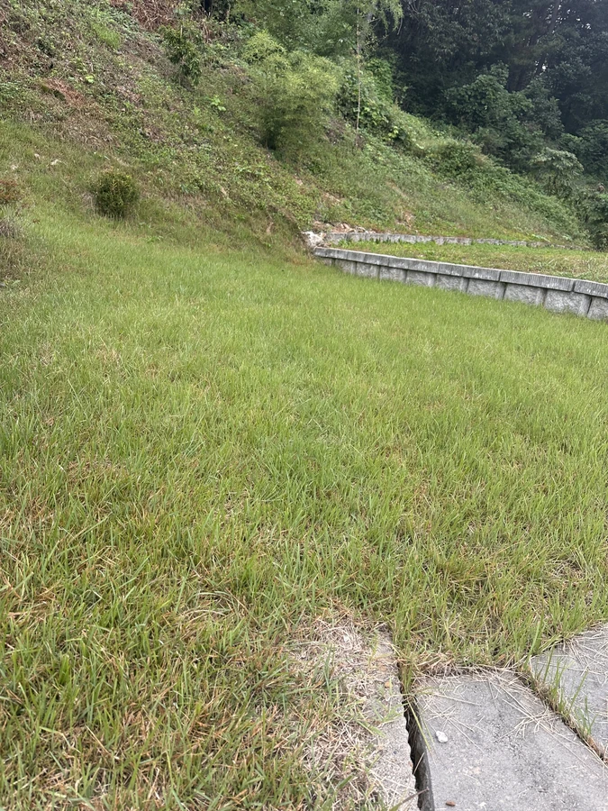 벌목,벌초