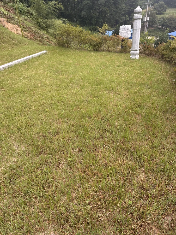 벌목,벌초