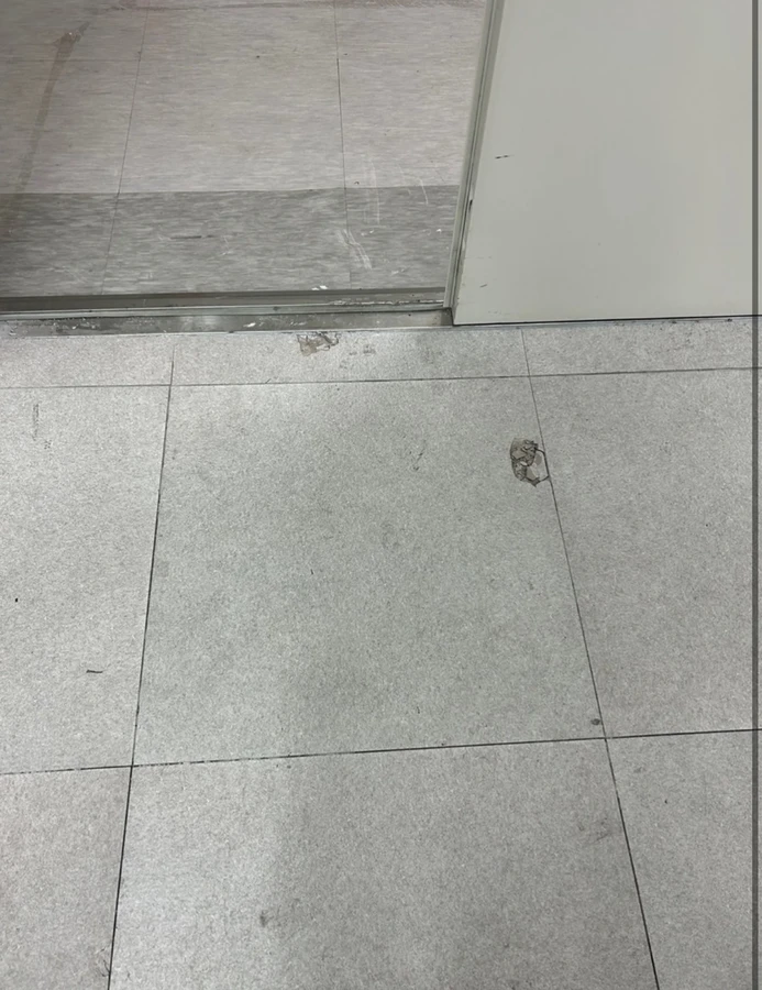 데코타일(조동혁)