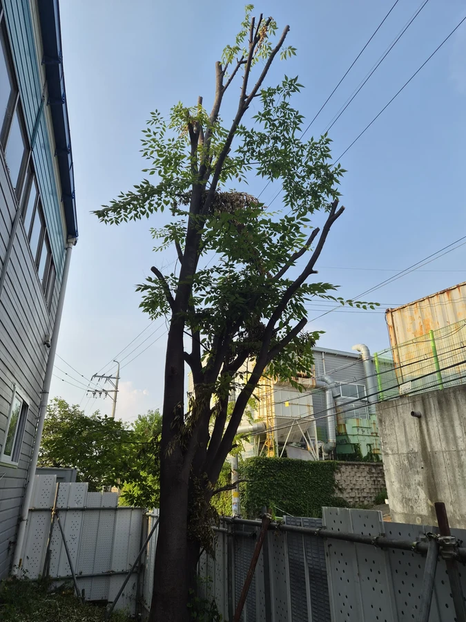 공장시설보수수리