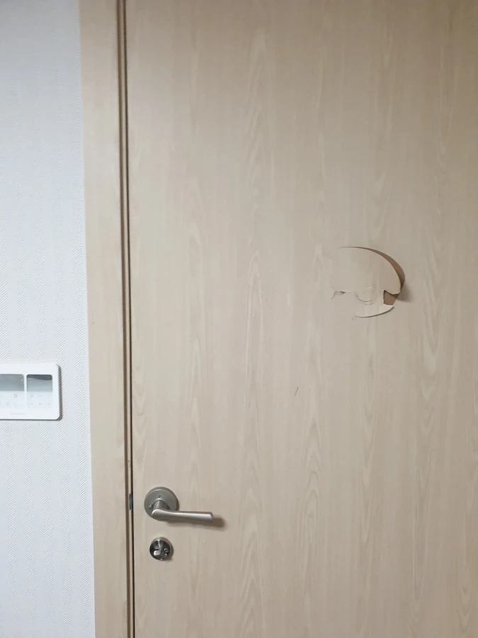 문수리(복원/수리/교체, 현관문, 방화문, 철문, 방문, 욕실문 )