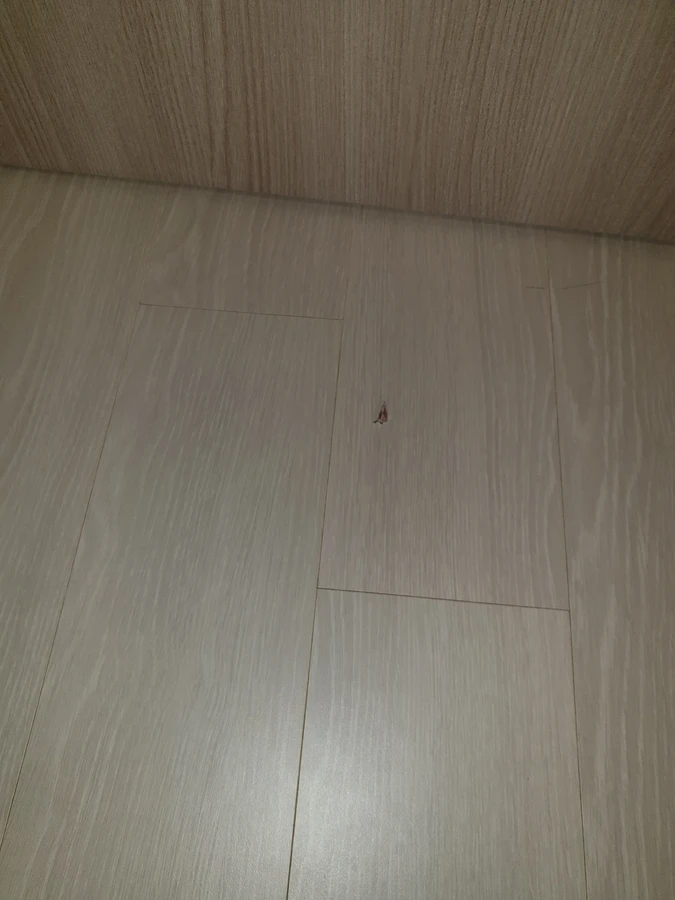 복원( 마루 걸레받이)  -> 세부에 포함 문틀 원목 깨진타일