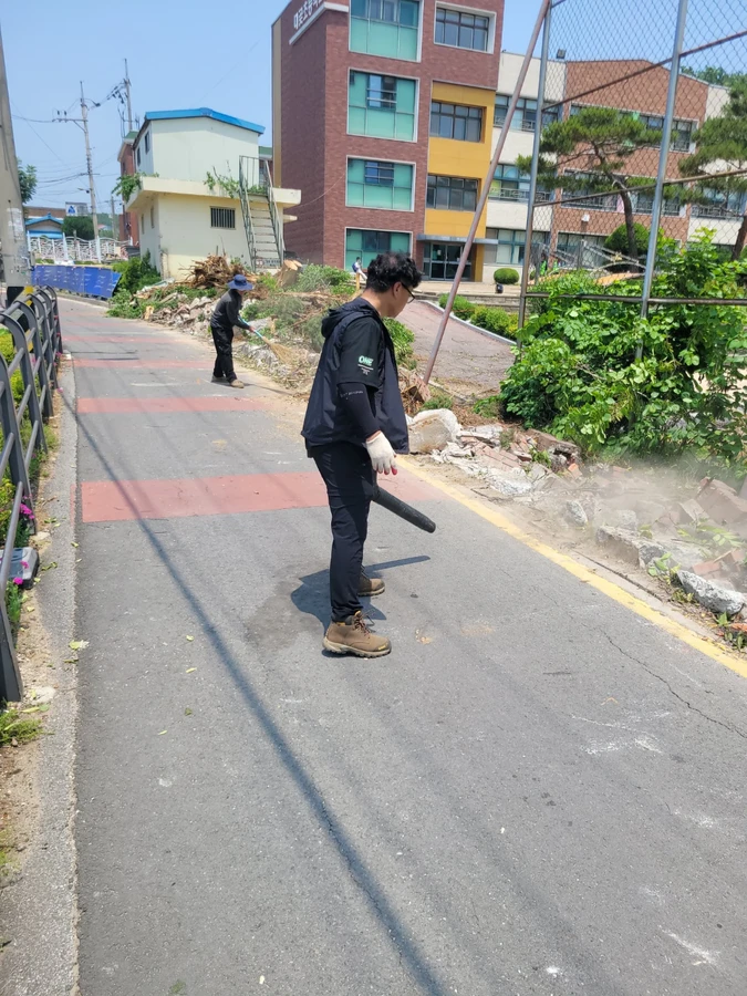 벌목