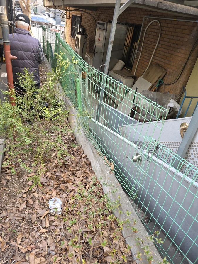 벌목