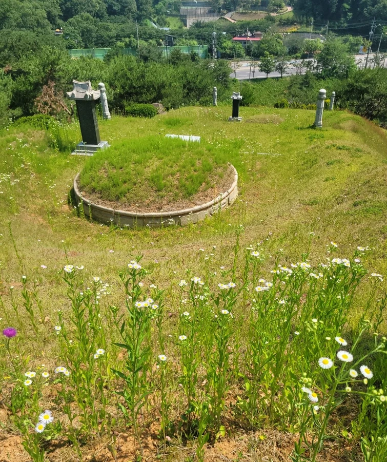 벌목